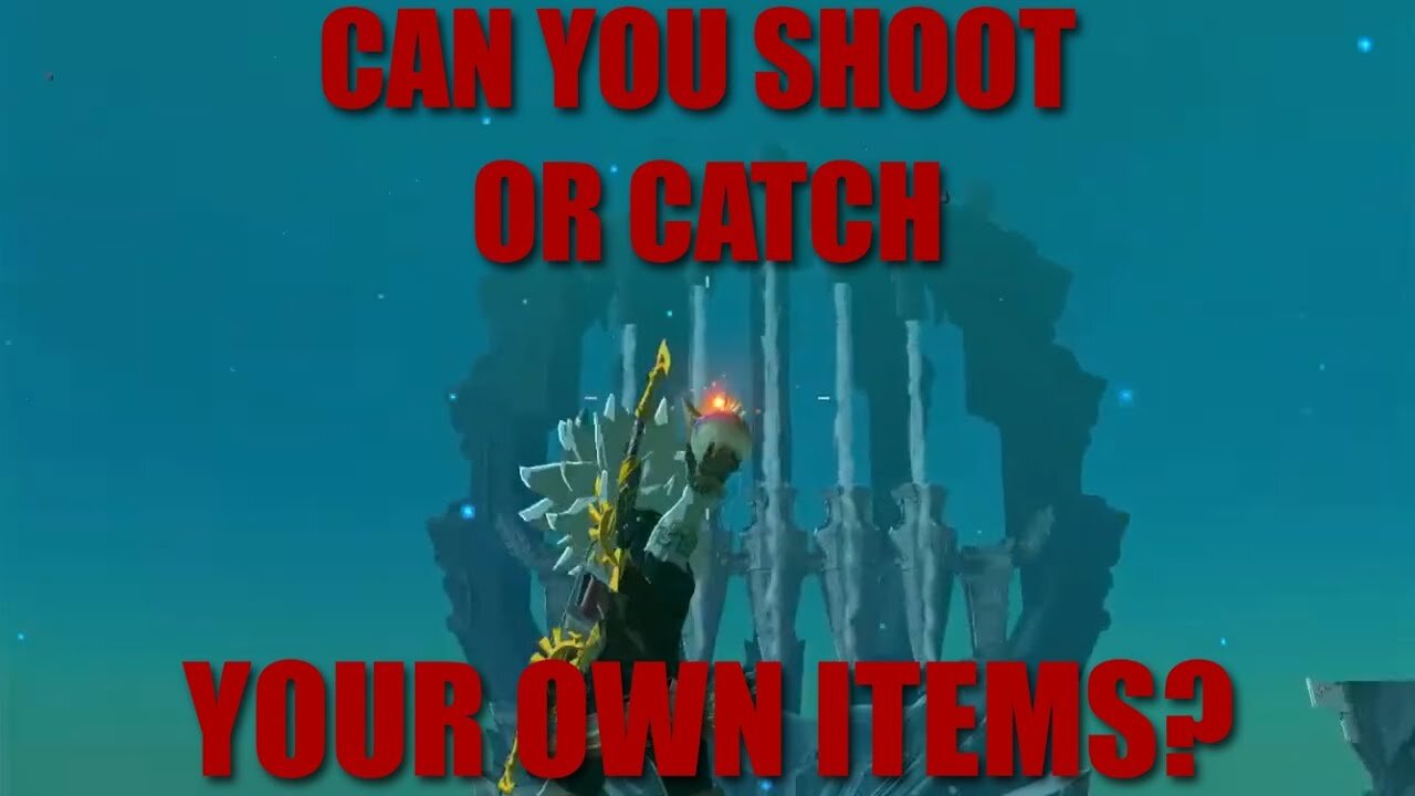 CAN YOU SHOOT/CATCH YOUR OWN ITEMS?