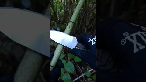 Shed Knives Tuatara shaving off bamboo! #shorts #shedknives