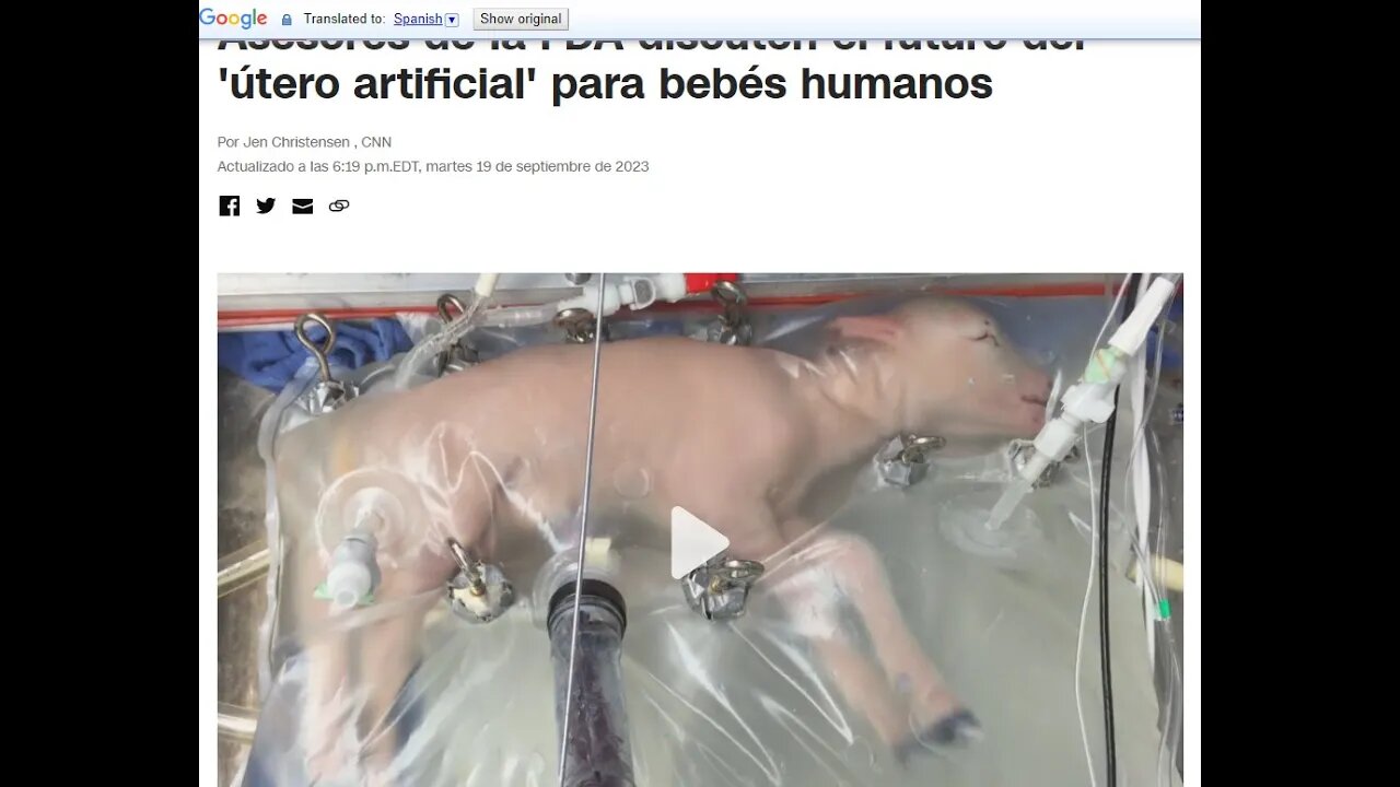 LOCURA GRINGA Quieren Usar Uteros Artificiales Para Bebes