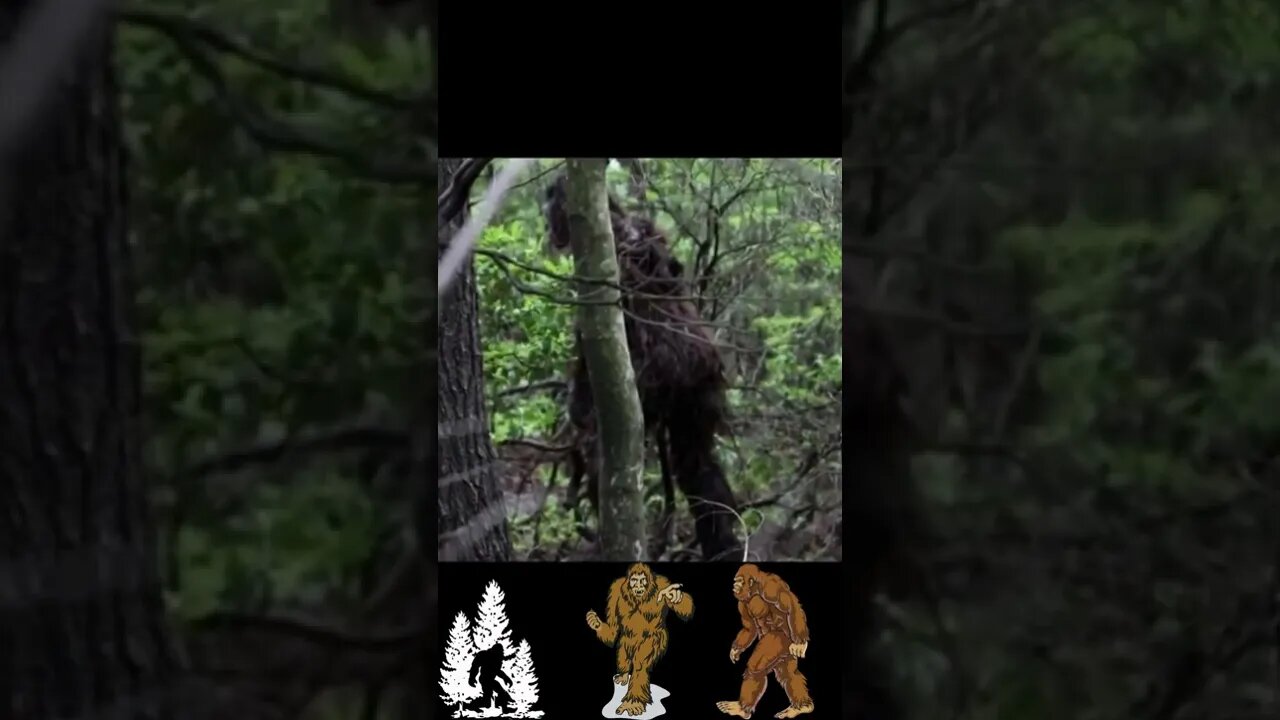 REAL DEAL?