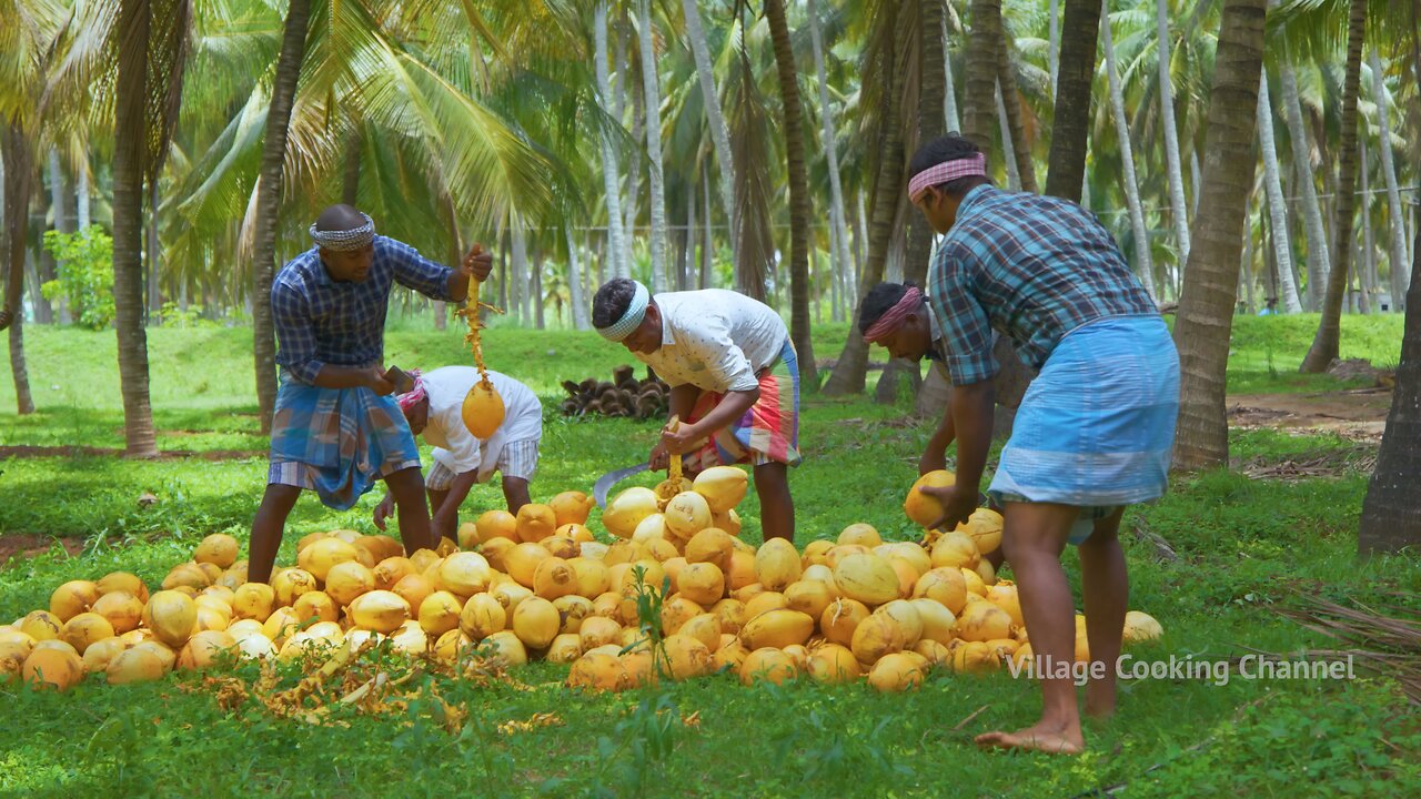 NATURAL JUICE | Red Tender Coconut Sarbath | Healthy Juice Making in Village I Summer Health Drinks