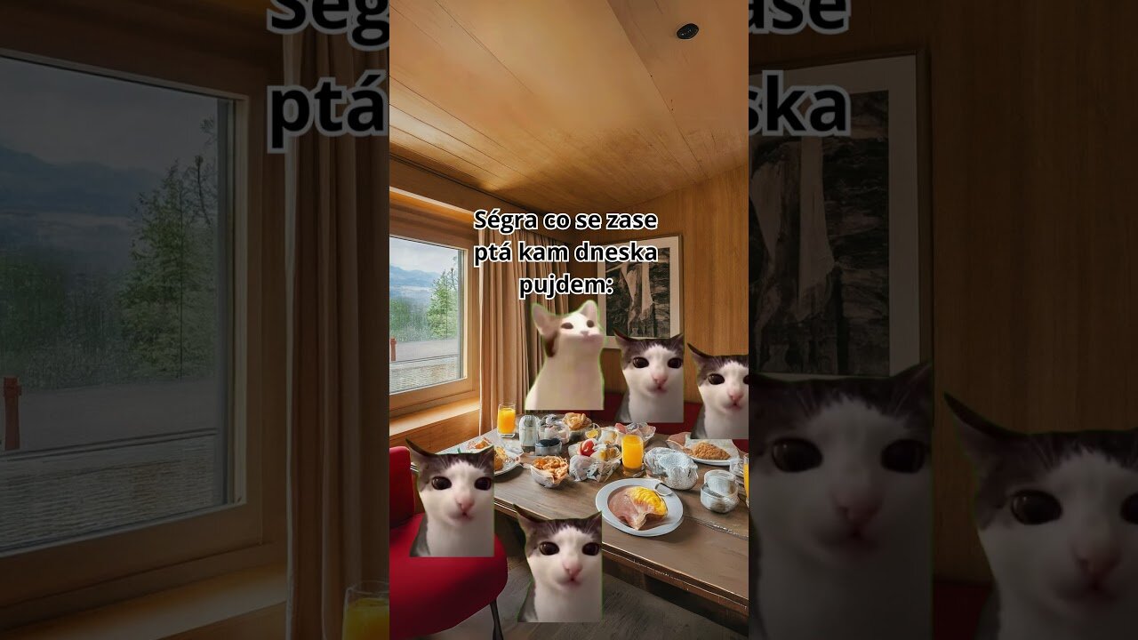 Rodiná dovolená be like part 40 | cat memes