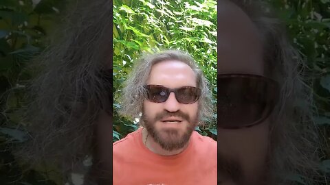 Sfat pentru Vladimir Putin