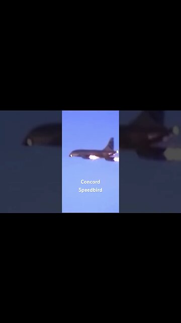 #aviationlover #aviation #warbird #airplane #airplanesdaily #aviations #aircraft #rcplanes #eaa