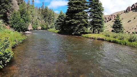 This stream wasn't easy to fish but it was definitely worth the effort!