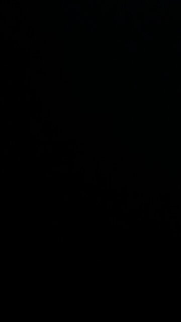 Twelfth man on the field