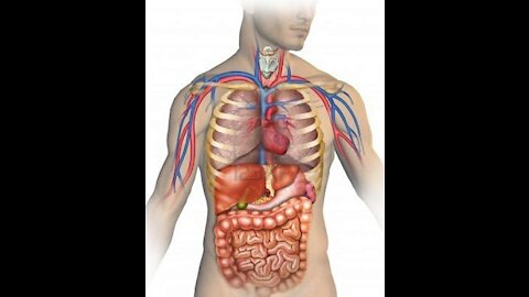 A Medicine To Save the Lives of Those Injected With the EXPERIMENTAL Covid-19 Vaccines.