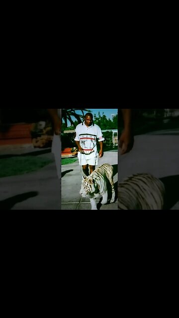 Mike Tyson and Cus D'amato #miketyson #cusdamato #boxing #shorts