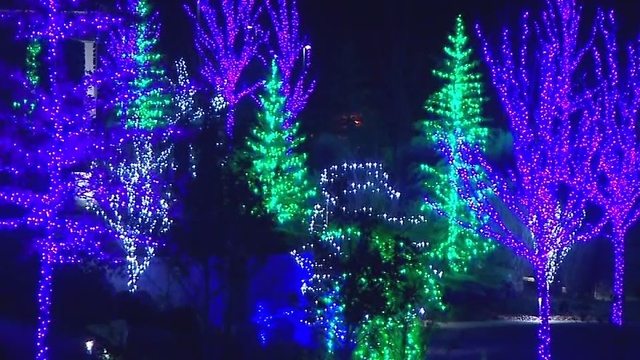 Scentsy Commons lights up for holidays