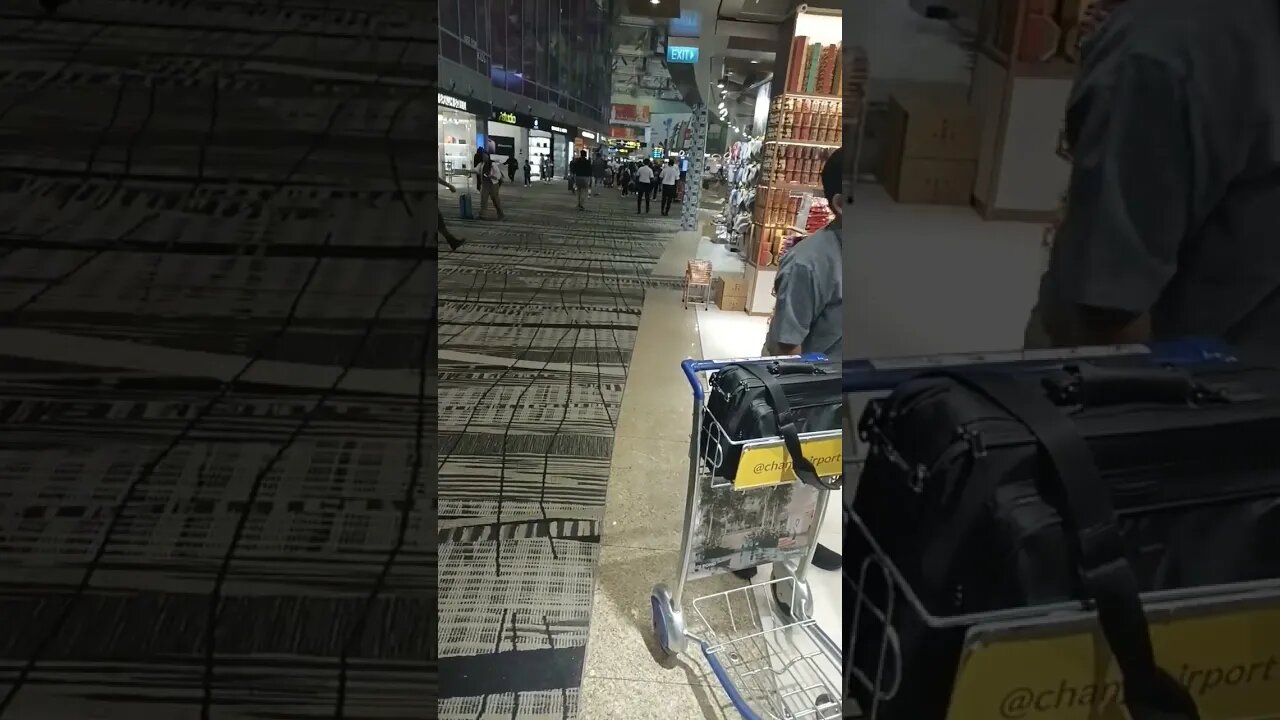 #etsukojunio #etsukofans #fransiscaofficial #teamfransisca #沉连清 #fransisca #fransiscametaworld