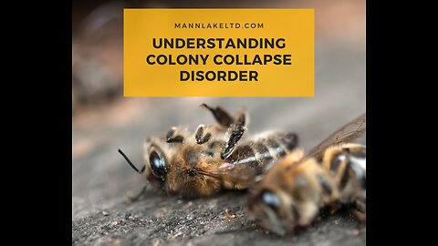 O COLAPS0 ESTÁ CHEGANDO!