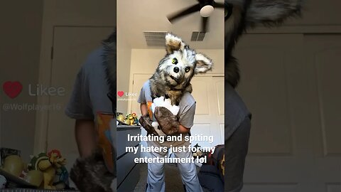 I Know My Haters Are Punching The Air Right Now 🤣 #shorts #furry #furryfandom #fursuit #fursuiter