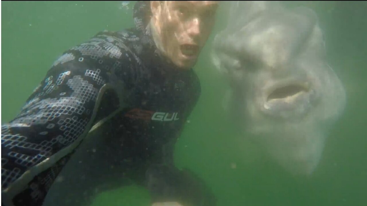 I bumped into a fish you won't believe exists!