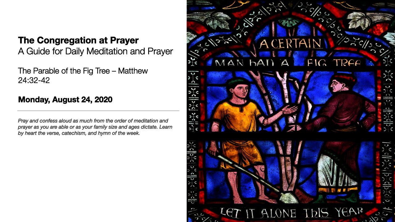 The Parable of the Fig Tree – The Congregation at Prayer for August 24, 2020