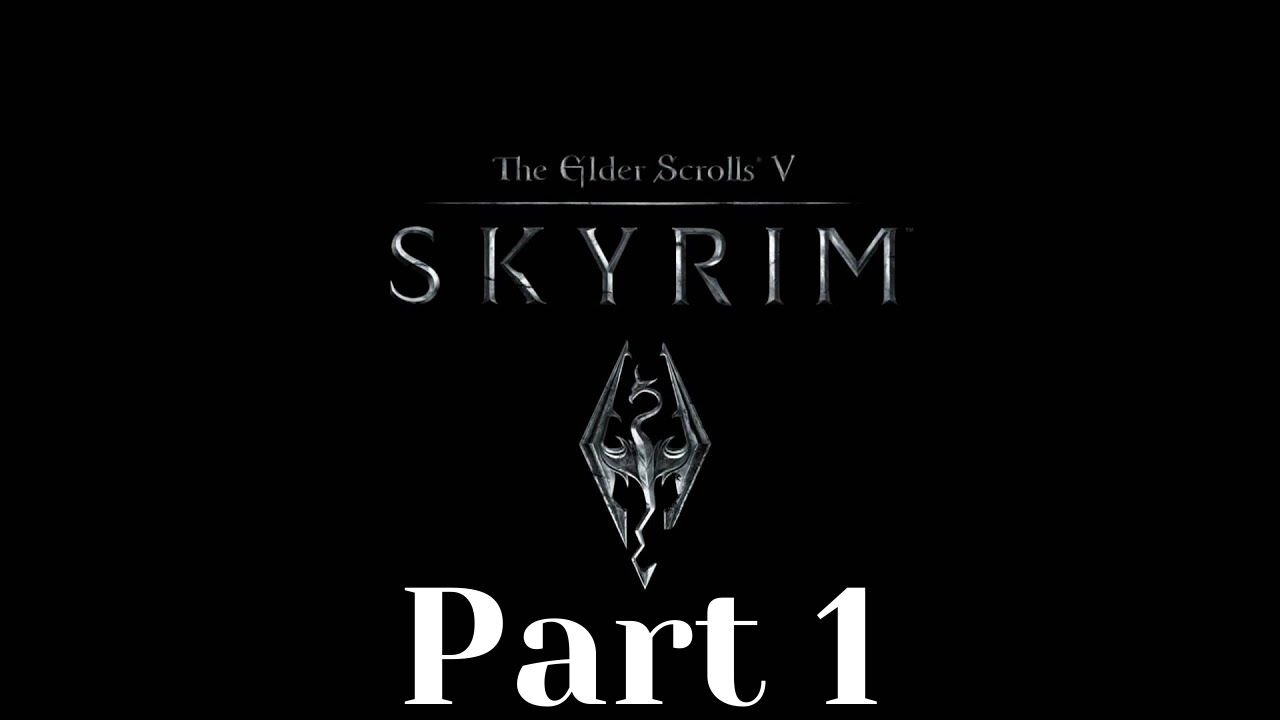 Elder Scrolls 5: Skyrim part 1 - The Dargon Slayer Slayer