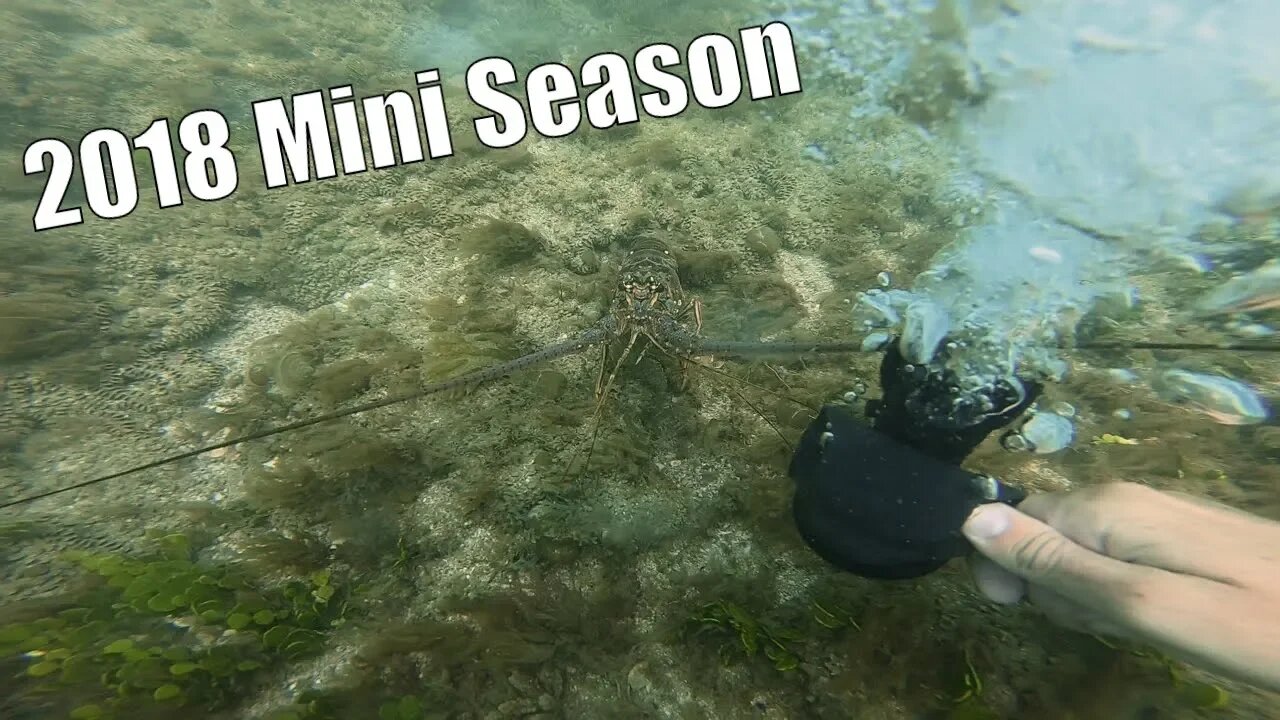 Mini Season Fort Pierce 2018 (Catch Clean Cook)