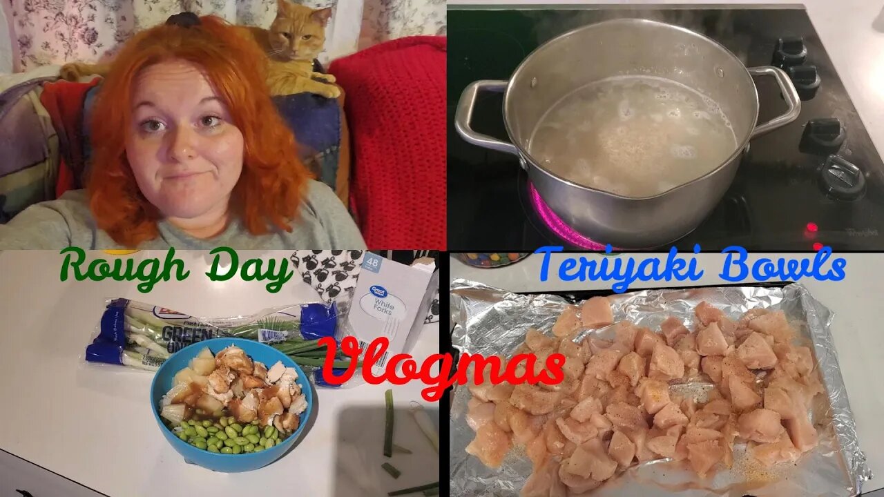 Vlogmas Day 7 | Teriyaki Dinner | Rough Day | Mom life