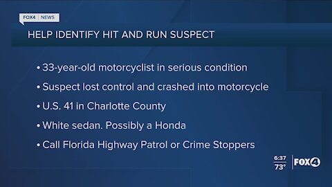 Search for hit and run driver