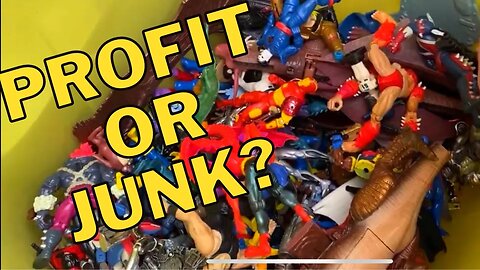 Spending $1,000 On 90's Action Figures Vinyl & More