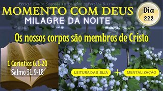 MOMENTO COM DEUS - MILAGRE DA NOITE - Dia 222/365 #biblia