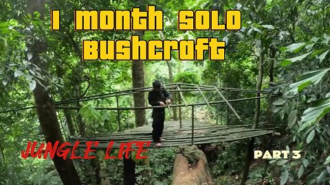 1 Month Solo Bushcraft. Build a box-shaped house on a tree. Survive in the Wild. PART 3