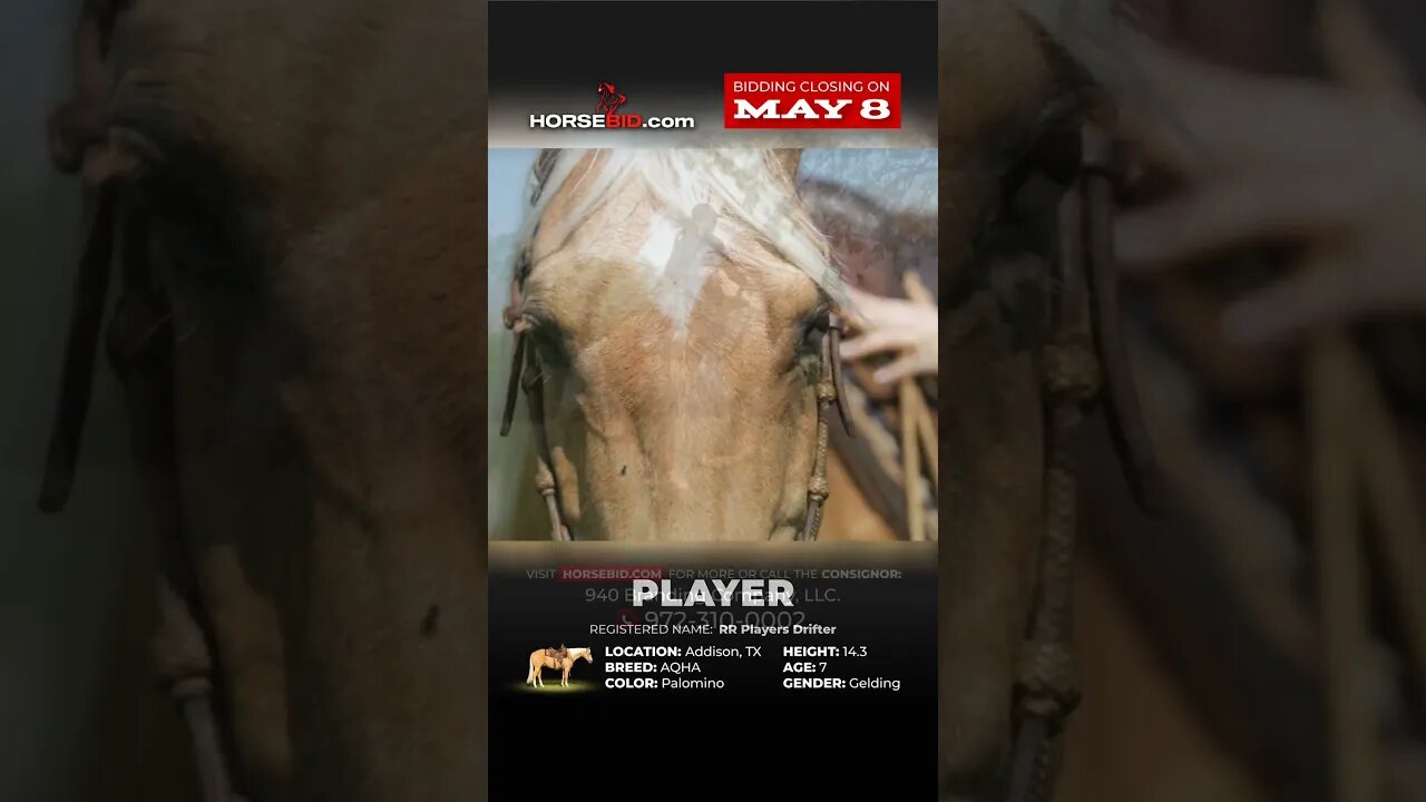 PLΛYΞR