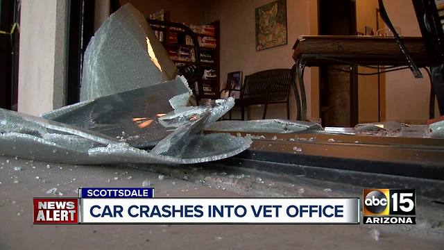 Car crashes into Scottsdale veterinary office