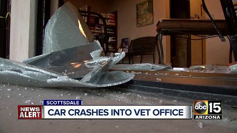 Car crashes into Scottsdale veterinary office