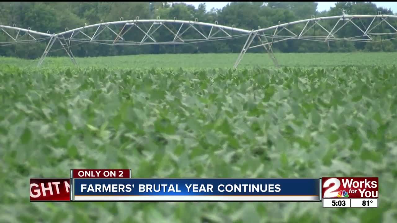 Farmers' brutal year continues