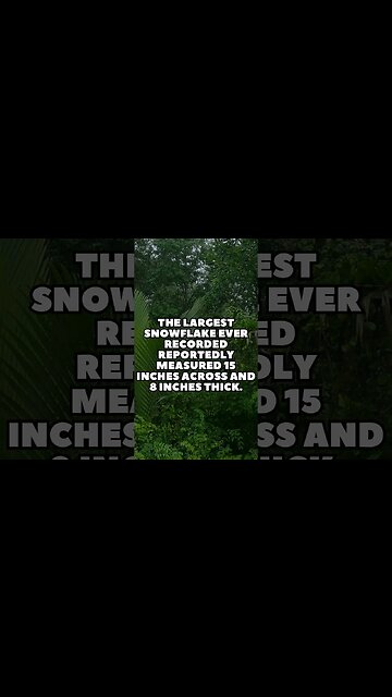 Incredible Random Facts That Will Expand Your Mind! [2023] #shorts #facts #viralshorts #fyp #life