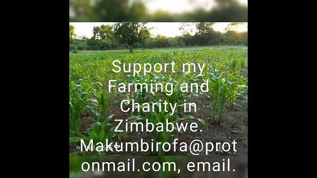 Support my Charity & Farming