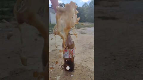 Exploding Mentos! #shorts #scienceexperiment #mentosandcoke
