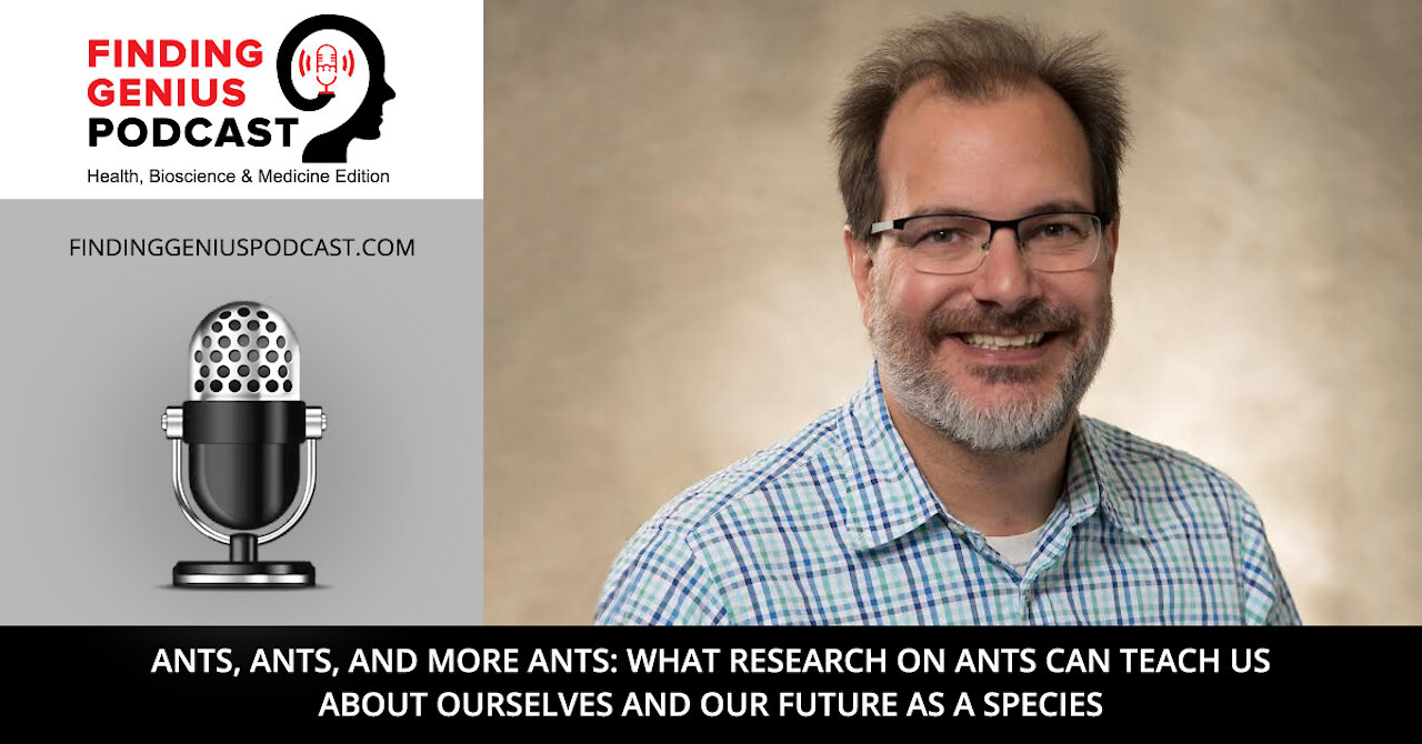 What Research on Ants can Teach us about Ourselves and our Future as a Species