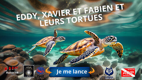 eddy, xavier et fabien et leurs tortues