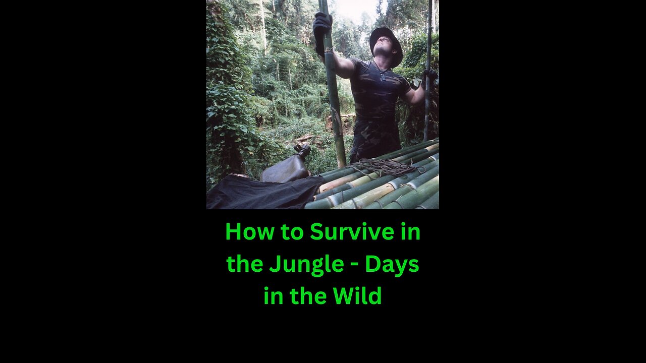 how to survive in the jungle - several days