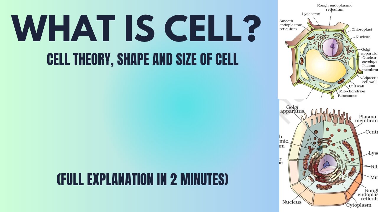 What is cell? Cell theory, shape and size by basic science 💯 full explanation in 2 minutes