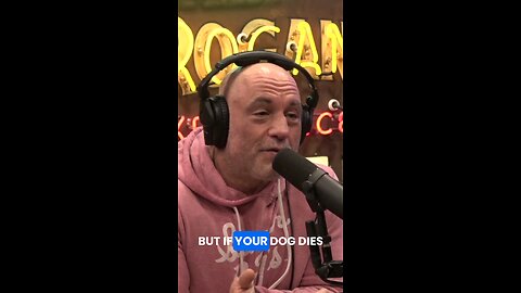 Lost a Dog? Get Another in 5 Days! #dog #story #joerogan