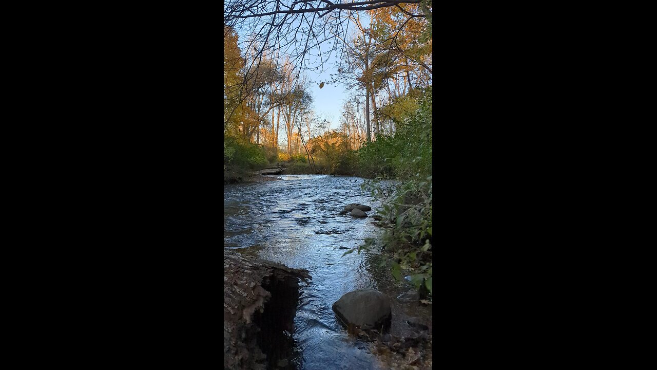 Fall river vibes - relaxing nature video #puremichigan #Stream #fallvibes