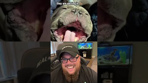 Here’s Your Dose of REALarious…🤣🤣🤣 with @SquishBiscuit #duet #funnycomedy #makeyoulaugh #funny