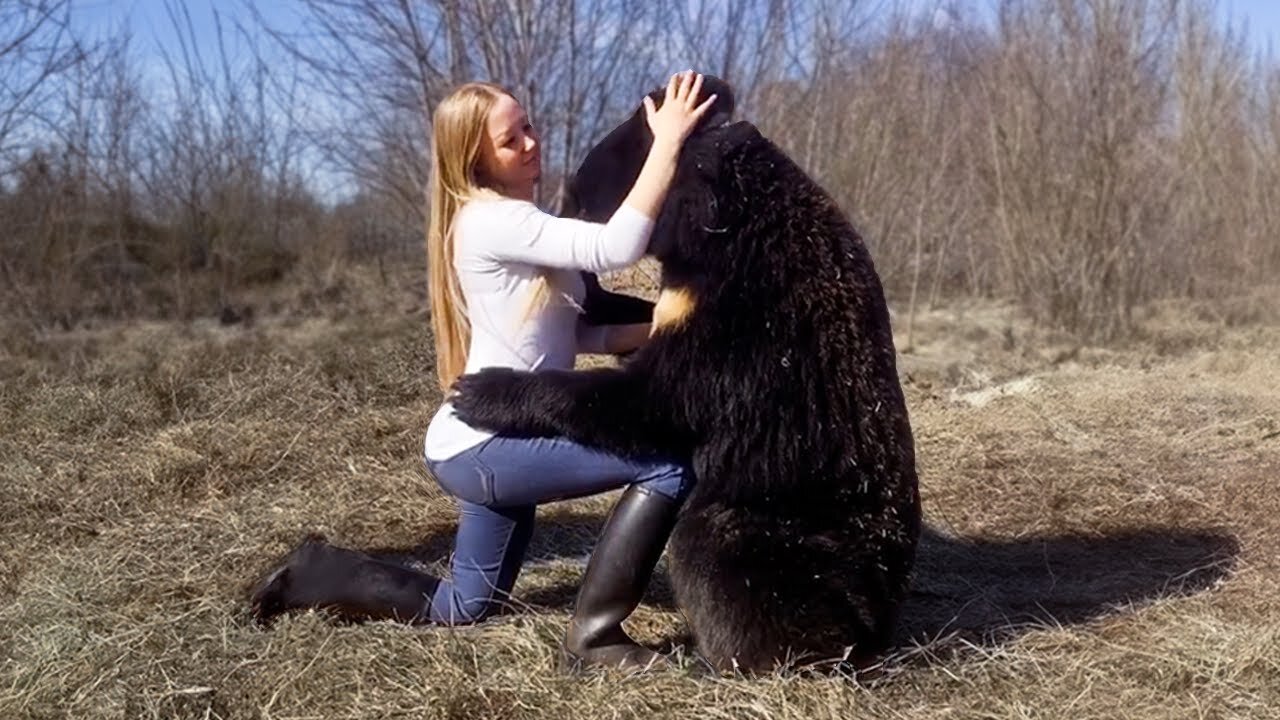 These Animals Reunited With Owners After Years| Best Moments of Autumn !