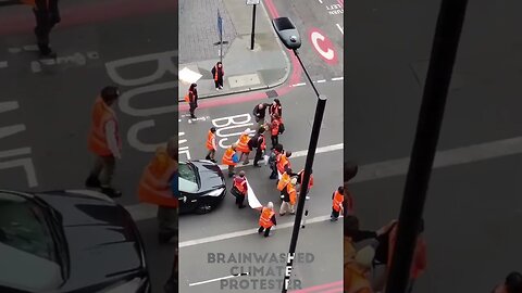 Climate Protester, The World Is Over It (UK)