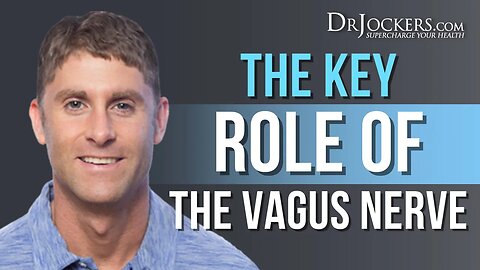 The Key Role Of The Vagus Nerve