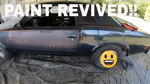 Compounding the 20 year old Cutlass paint.