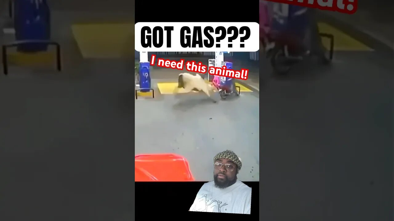 This can stop crime at gas stations #comment #reaction #shorts #comedyshorts
