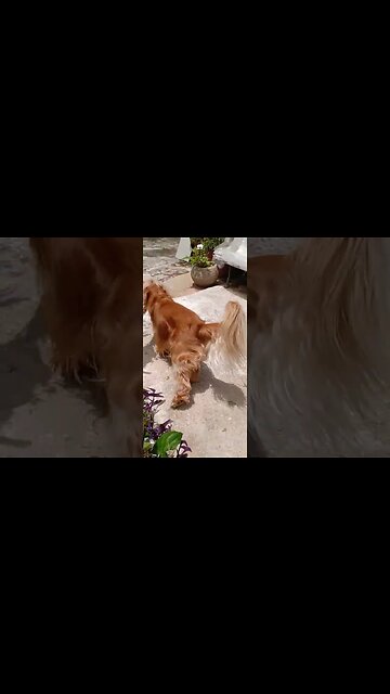 subscribe to my channel