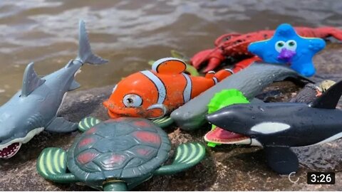 Sea Animal Toys This Summer at the Shore