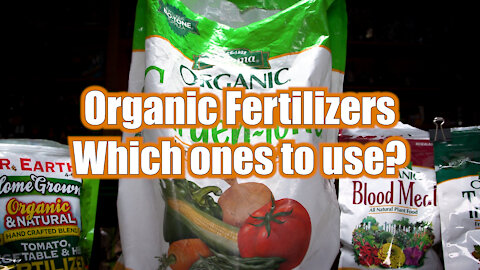 Organic Fertilizers, Which one to use?