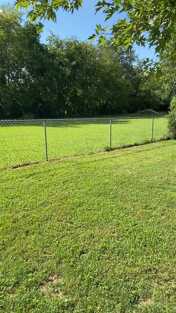 This is just a test video