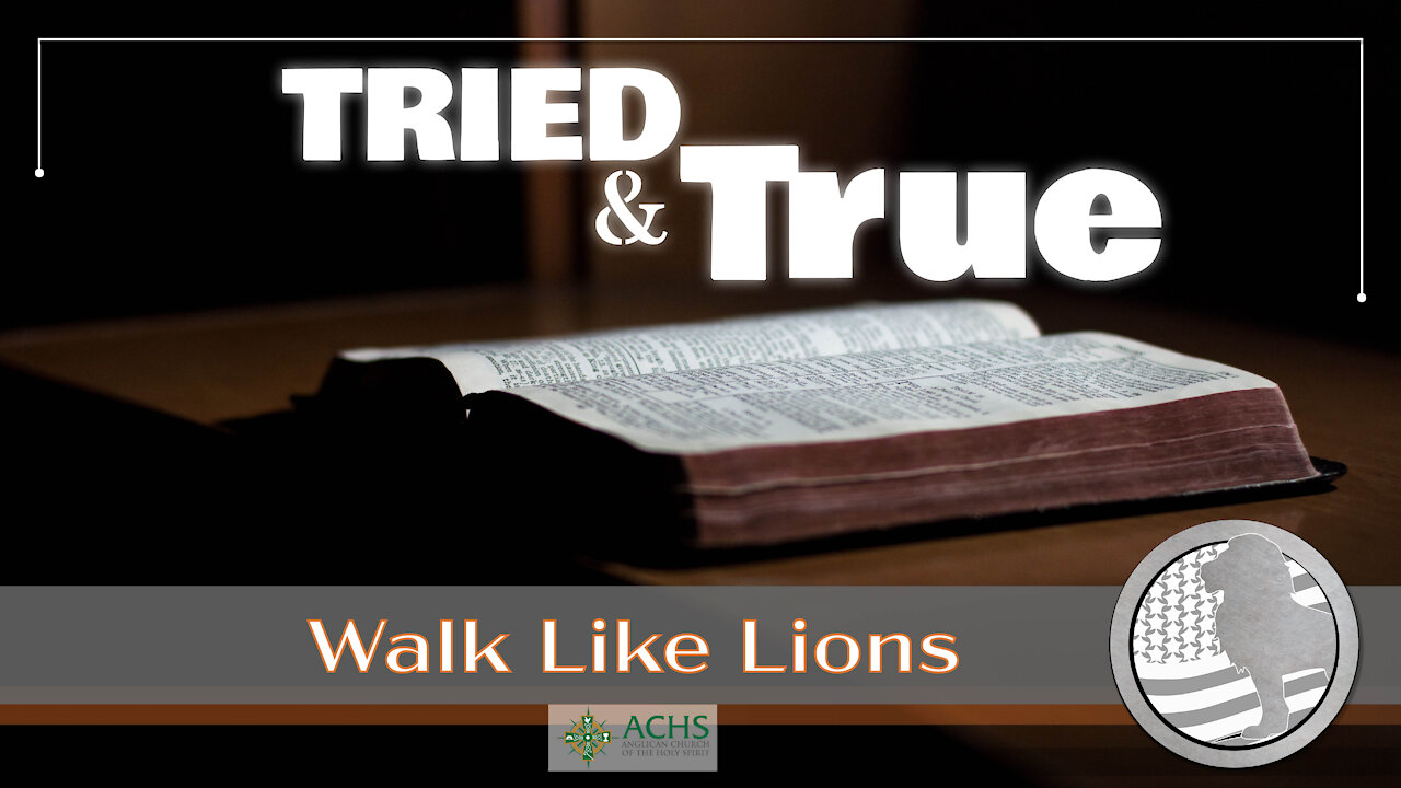 "Tried and True" Walk Like Lions Christian Daily Devotion with Chappy Jan 21, 2021