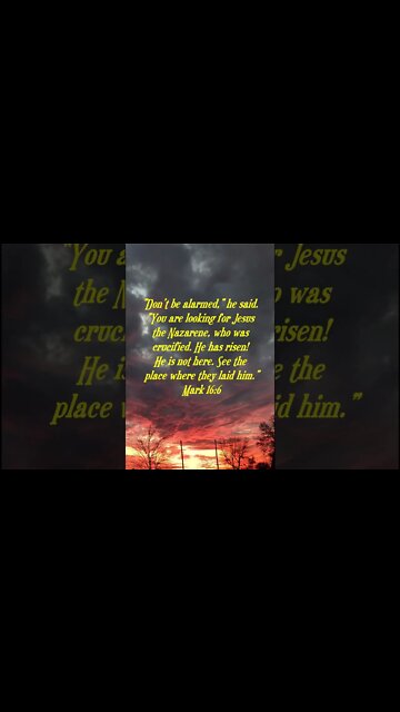 Daily Bible Verse short for day of December 9 2022